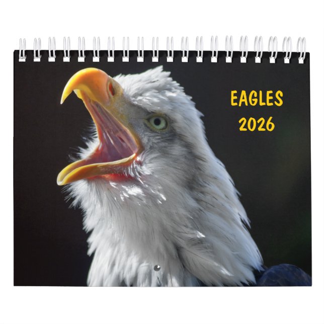 Eagles Calendar Kalender (Omslag)