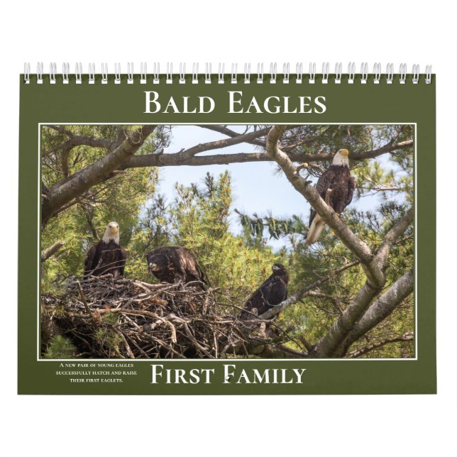 Eagles First Family Kalender (Omslag)