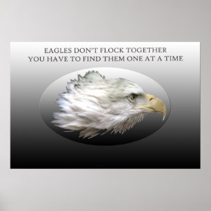 Eagles flyger inte ihop poster