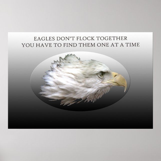Eagles flyger inte ihop poster (Framsidan)