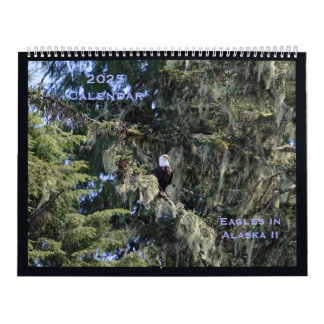Eagles in Alaska II Calendar Kalender