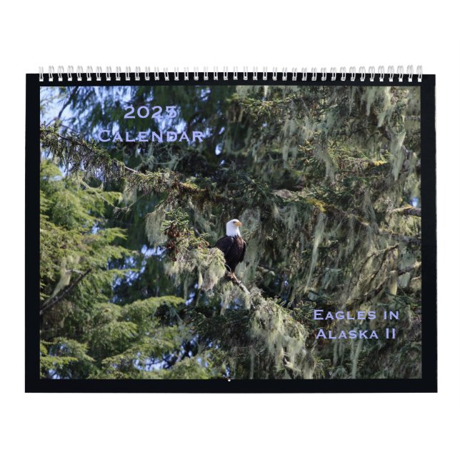 Eagles in Alaska II Calendar Kalender (Omslag)