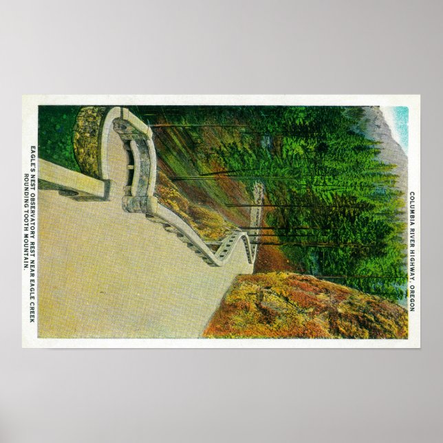 Eagles observationscentrum för nordhavsviken i Col Poster (Framsidan)