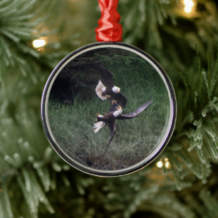 Eagles Ornament