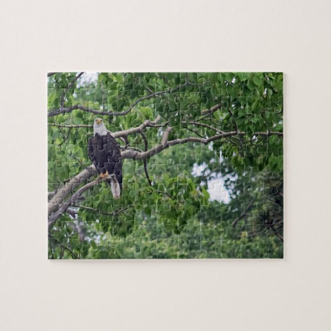 Eagles perch - 8 x 10 - 110 pcs pussel (Horisontell)