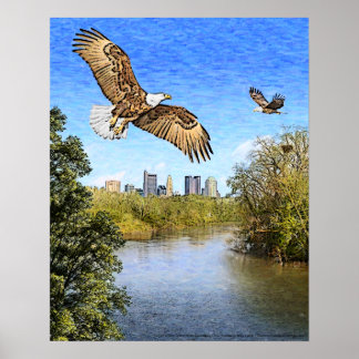 Eagles Scioto River Columbus Ohio Print Poster