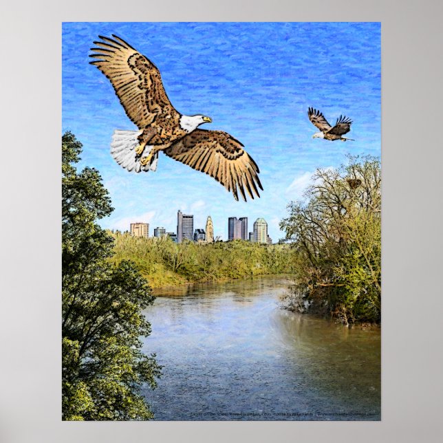 Eagles Scioto River Columbus Ohio Print Poster (Framsidan)