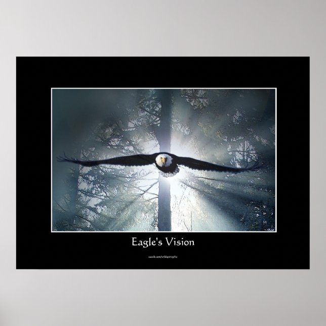 Eagles visionsmatta Forest Wildlife Fantasy Art Poster (Framsidan)