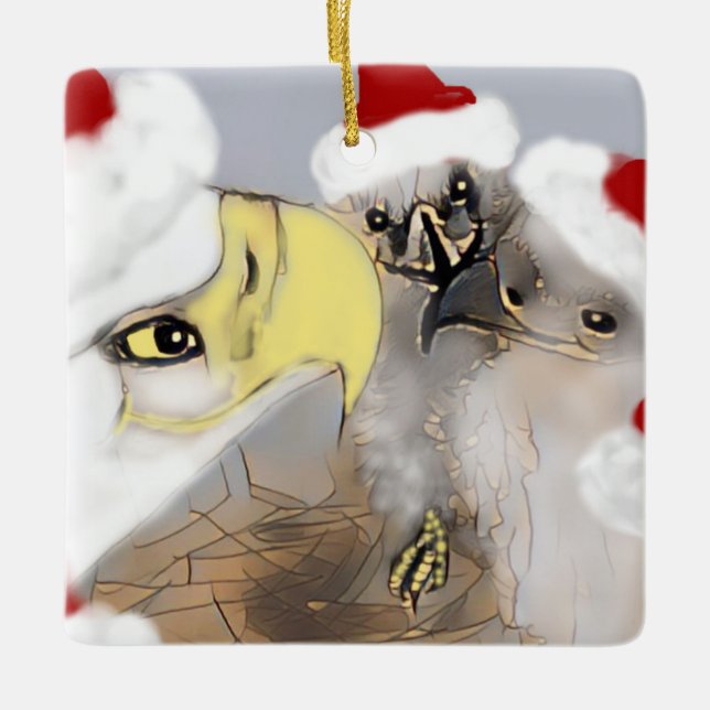 Eaglets E7 och E8 Jul Ornament färg (Framsida)
