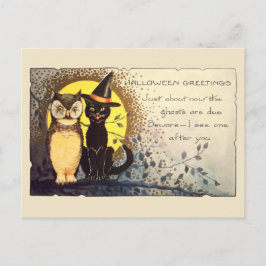 Early 1900s Friendly Cat and Owl Vintage Halloween Vykort