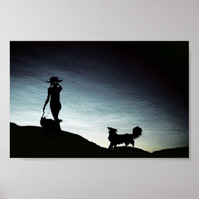 Early morning herd...Border Collie Poster (Framsidan)