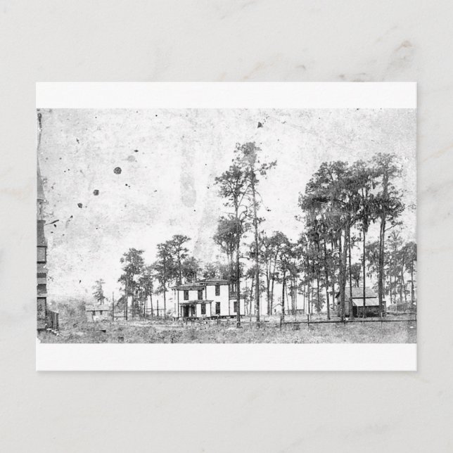 Early years, Mount Dora, FL Vykort (Framsida)