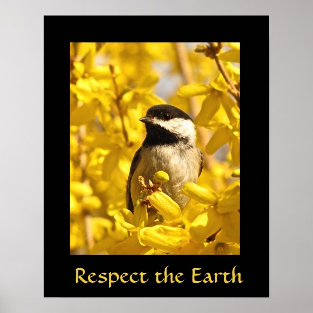 Earth Day Chickadee Bird in Gula blommor Print Poster (Framsidan)