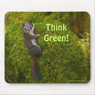 Earth Day Cute Squirrel Wildlife Musmatta