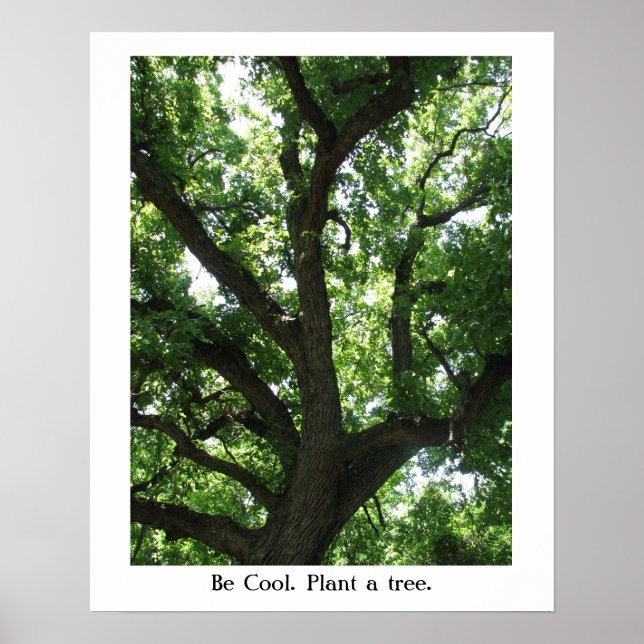 Earth Day Plant-A-Träd Poster (Framsidan)