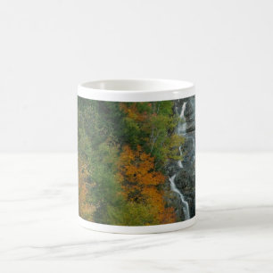 Earth Day Waterfall Mugg