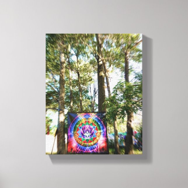 Earth Freq 2011: Arts & Decor Wrapped Canvas (Framsida)