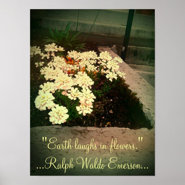 Earth Laughs i Flowers Poster (Framsidan)