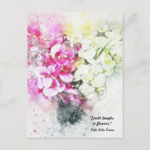 Earth Laughs in Flowers Canvas Blommigt Postcards Vykort