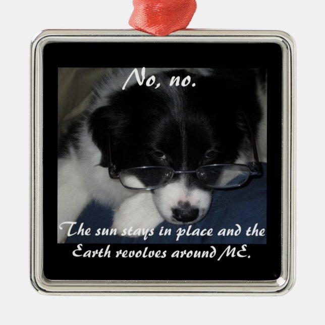 "Earth Revolves Around ME" Ornament (Framsidan)