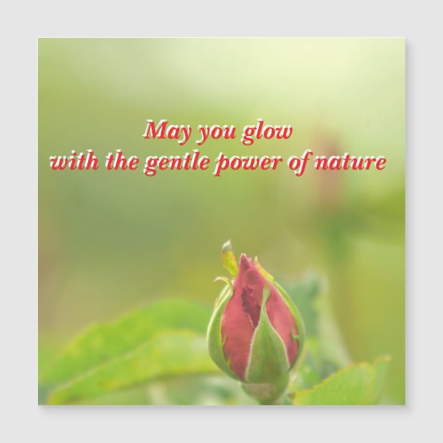 Earth’s Glow and Healing Japanese Flowers/EarthDay (Framsida)