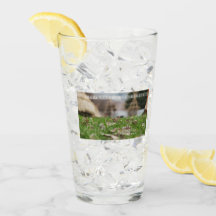 Earth’s Glow and Healing Japanese Flowers/EarthDay