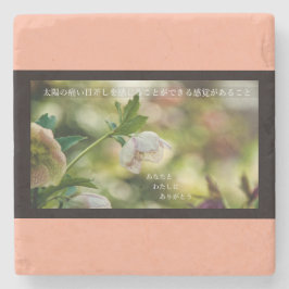 Earthlight and Healing Japanese Flowers and Poetry Stenunderlägg