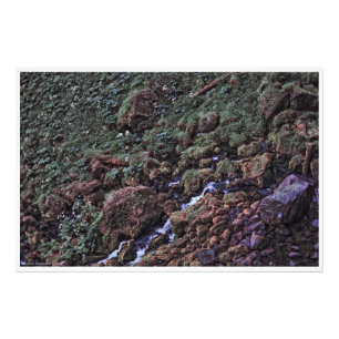 EarthTone Fototryck