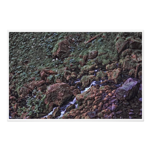 EarthTone Fototryck (Framsidan)