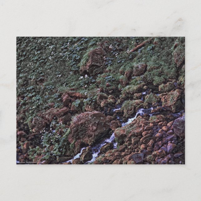EarthTone Vykort (Framsida)