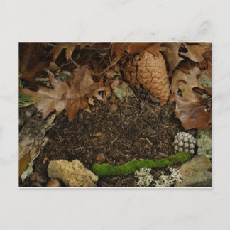 Earthy Forest Golv Vykort