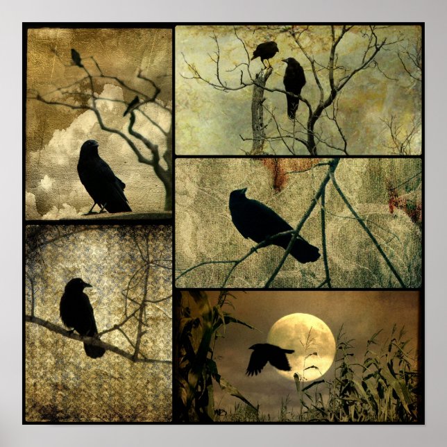 Earthy Kråkas Collage Poster (Framsidan)