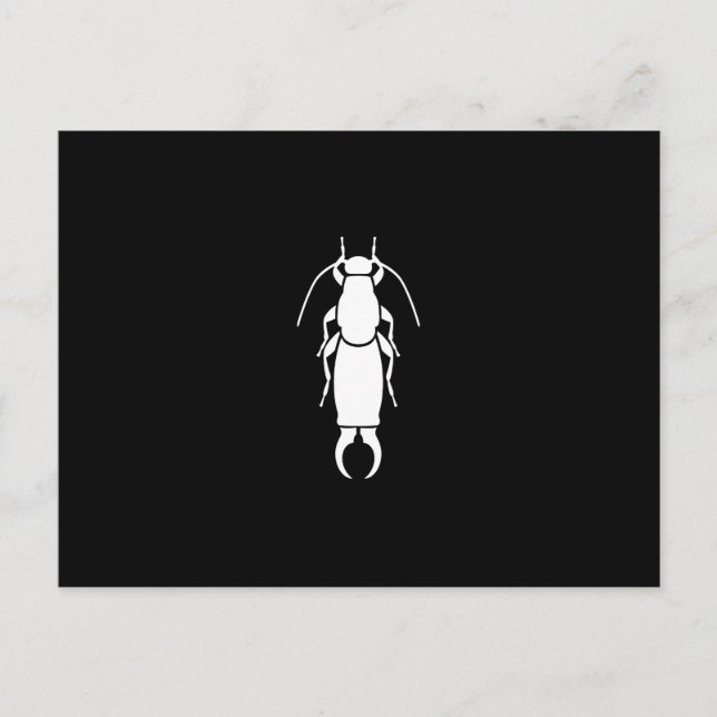 Earwig Vykort (Framsida)