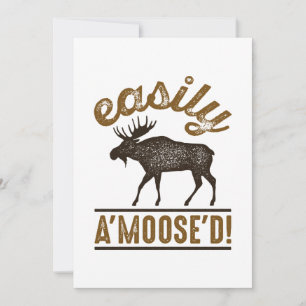 Easily A’Moose’D Tack Kort