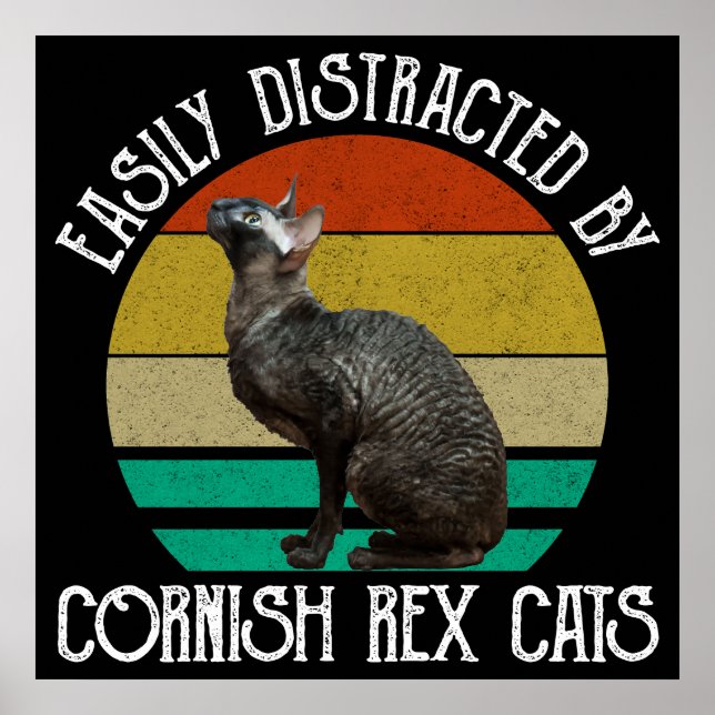 Easily Distracted By Cornish Rex Cats Poster (Framsidan)
