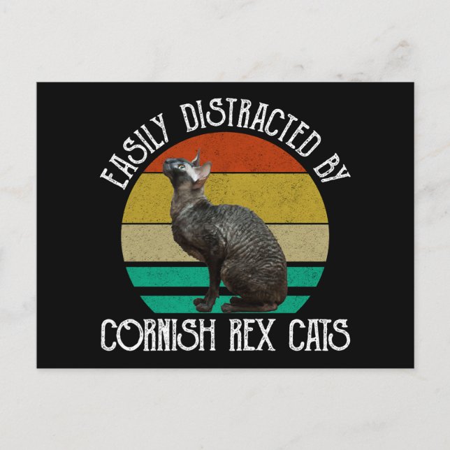 Easily Distracted By Cornish Rex Cats Vykort (Framsida)