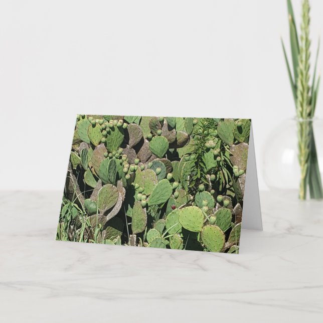 "East Coast Cacti" Snart Bättre-Kort Kort (Framsida)