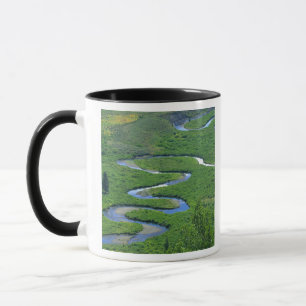East River nära staden Crested Butte. Mugg