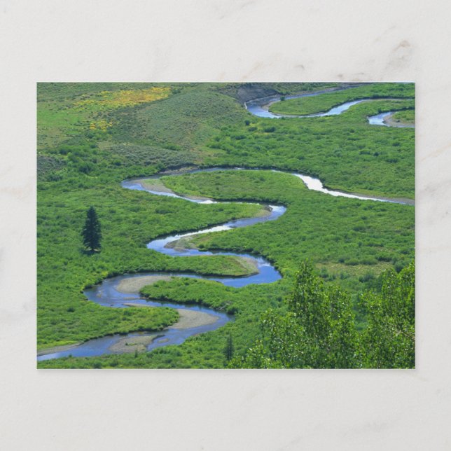 East River nära staden Crested Butte. Vykort (Framsida)
