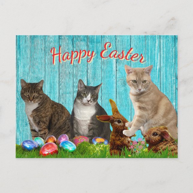 Easter Card - Cats and Bunnies Helg Vykort (Framsida)