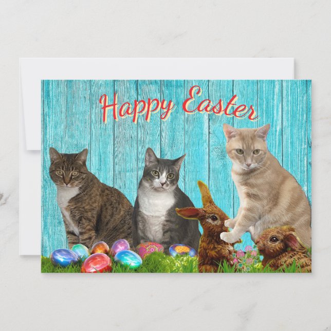 Easter Flat Card - Cats and Bunnies Julkort (Framsida)
