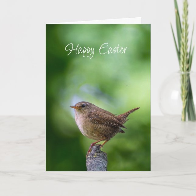 Easter Spring Wren Bird Joy Happiness Wishes Helgkort (Framsida)