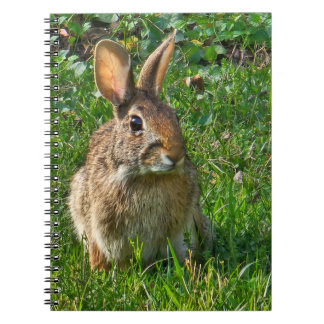 Eastern cottontail rabbit anteckningsbok