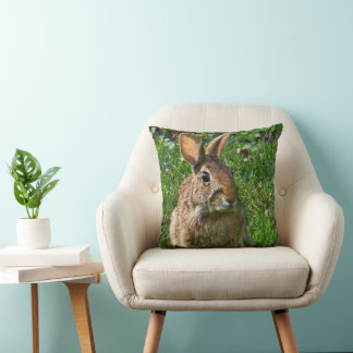 Eastern cottontail rabbit kudde
