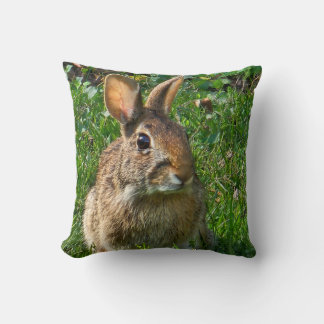 Eastern cottontail rabbit kudde