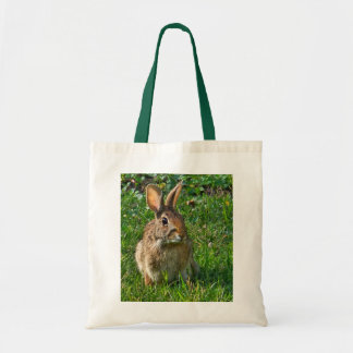 Eastern cottontail rabbit tygkasse
