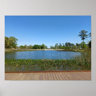 Eastern Glades minnespark Poster