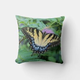 Eastern Tiger Swallowtail Butterfly Kudde