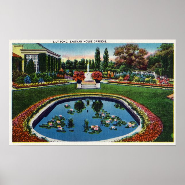 Eastman House Gardens Lily Pond Poster (Framsidan)