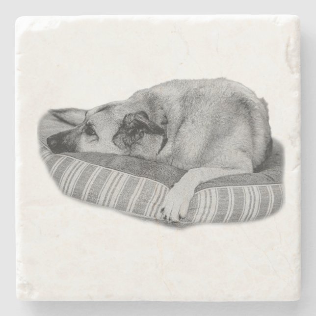Easy Days, Quiet Dog Coaster Stenunderlägg (Framsidan)